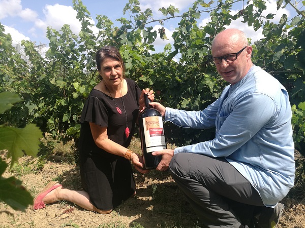 1668905375889043.jpg IMG_20180823_150701_1.jpg