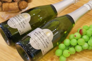 國產紅酒好色先生入口排行