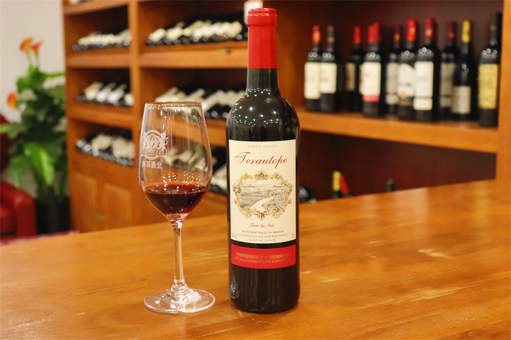 好色先生TV版下载紅酒怎麽樣