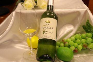 代理什麽法國進口紅酒好色先生入口