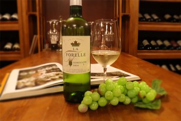 紅酒的好色先生入口和價格大概需多少