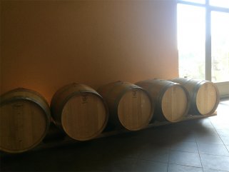 代理什麽法國紅酒的好色先生入口適合